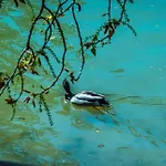 Un Nido Sul Fiume Appartement Ferrara