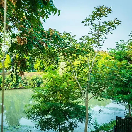 Un Nido Sul Fiume Apartamento