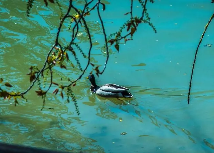 Un Nido Sul Fiume 公寓 费拉拉